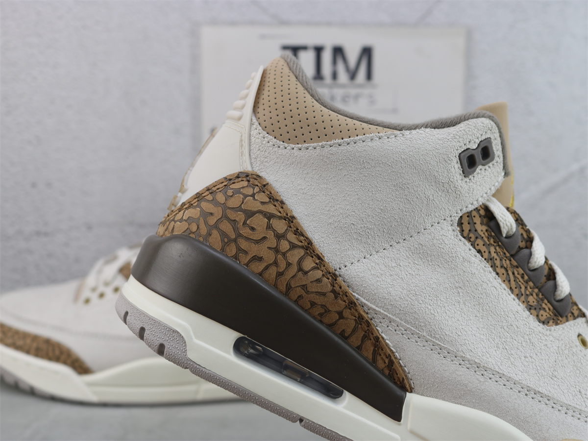 Air Jordan 3 Retro Palomino CT8532-102